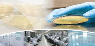 Steriplate™  Sterile Ready Prepared Plates