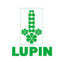 lupin